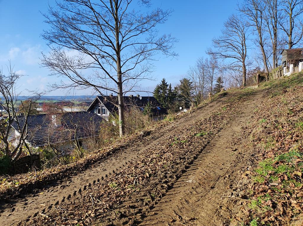 vorderer Grundstücksteil