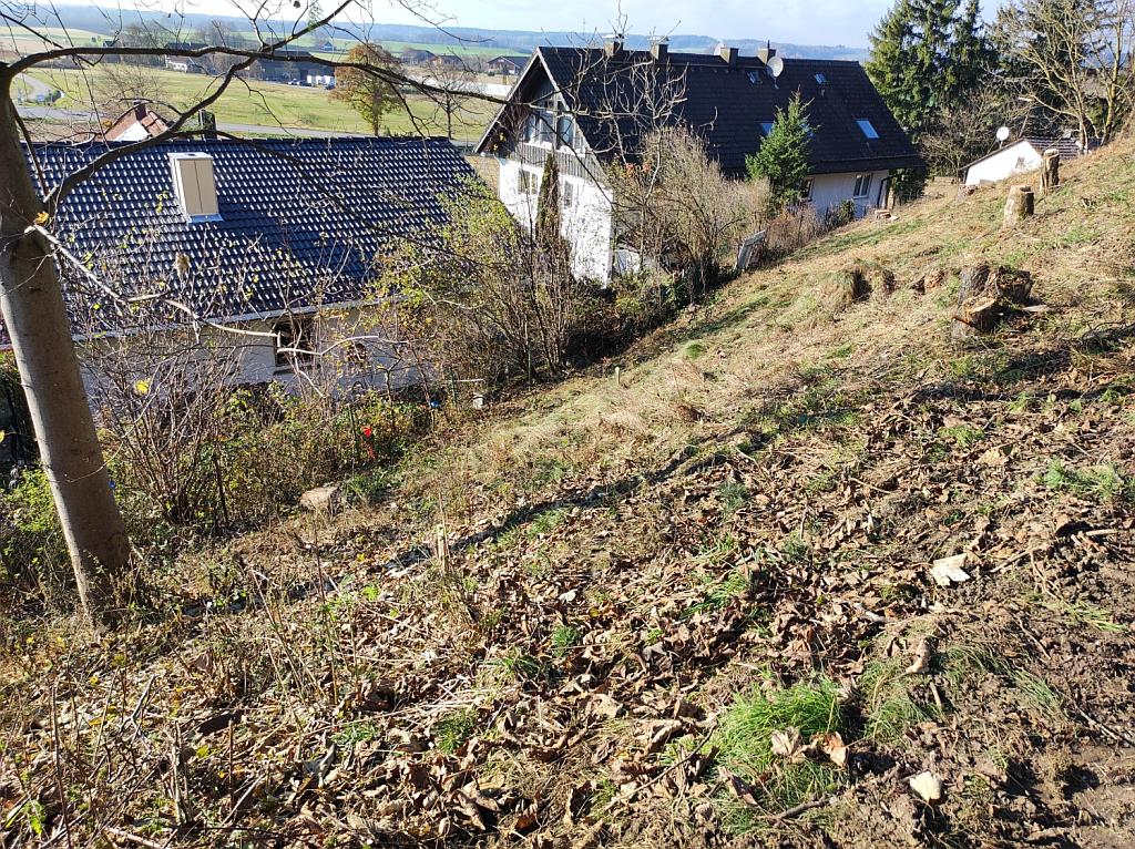Hanglage 198/1